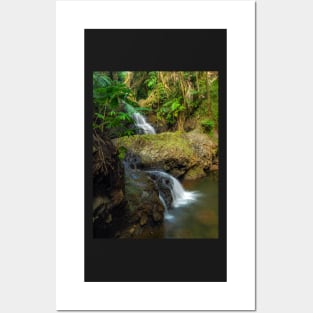 Onomea Waterfalls Posters and Art